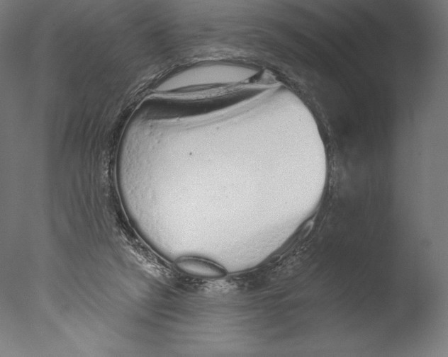 X0000076320257200610201646