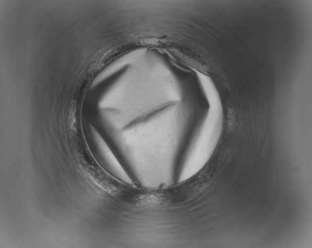 X0000076320259200610201646