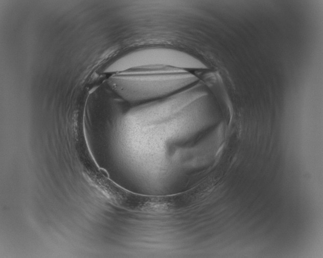 X0000076320260200610201646