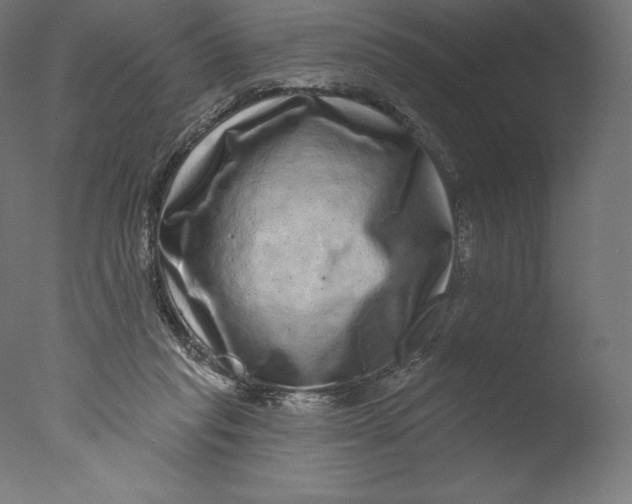 X0000076320261200610201646