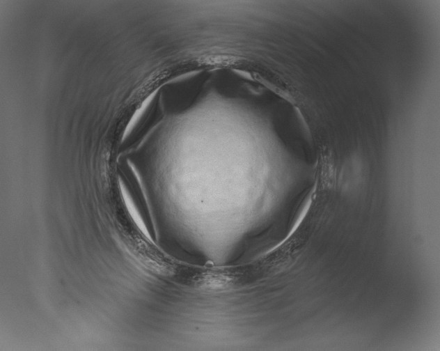 X0000076320263200610201646