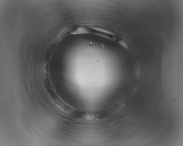 X0000076320264200610201646