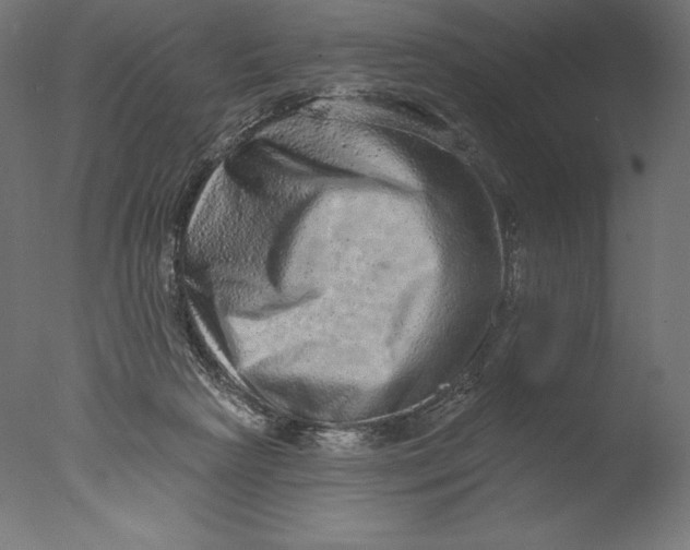 X0000076320265200610201646