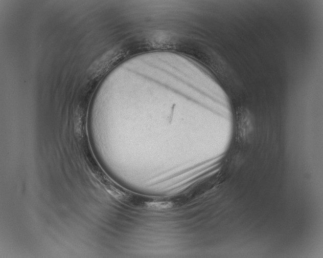 X0000076320266200610201646