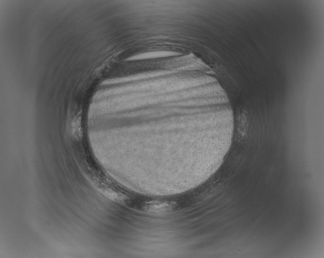 X0000076320267200610201646