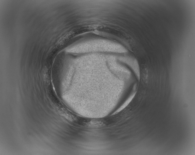 X0000076320270200610201646