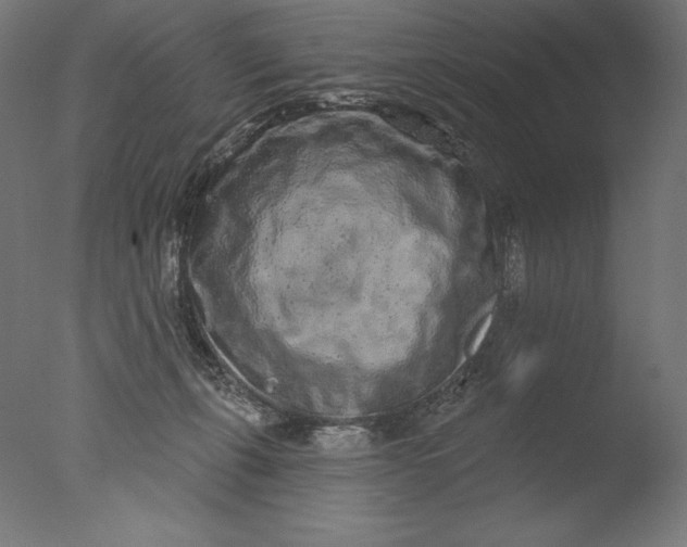 X0000076320271200610201646