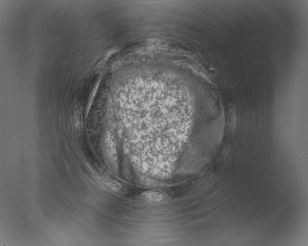 X0000076320272200610201646