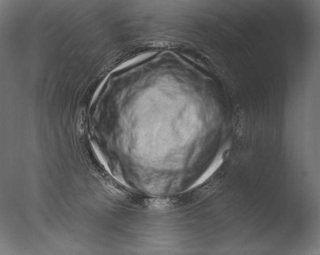 X0000076320273200610201646