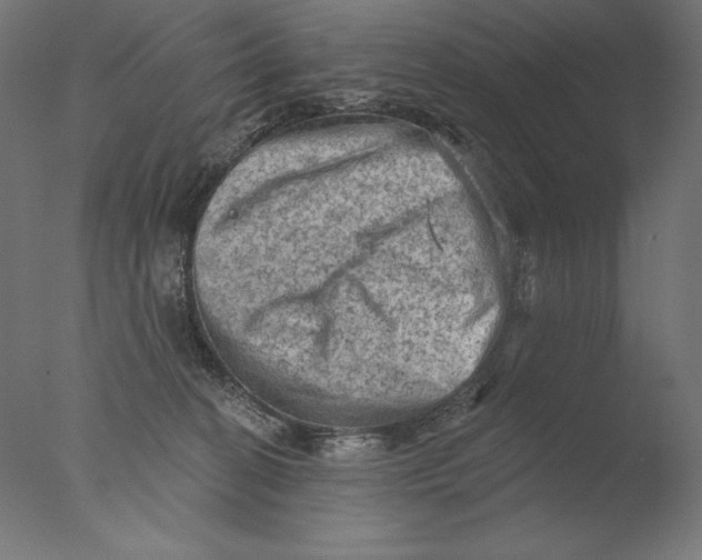 X0000076320274200610201646