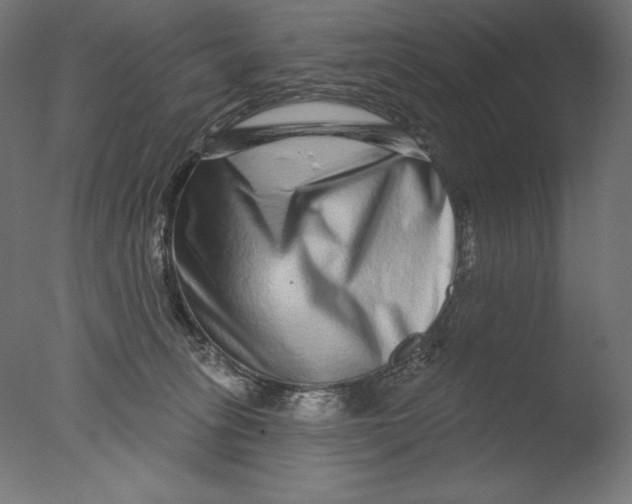 X0000076320275200610201646