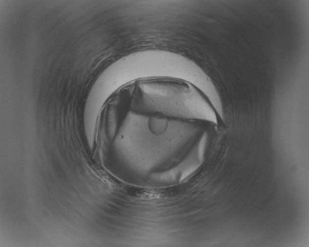 X0000076320276200610201646