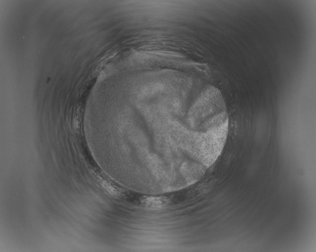 X0000076320277200610201646