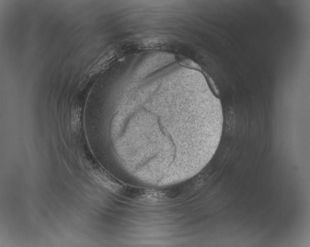 X0000076320278200610201646