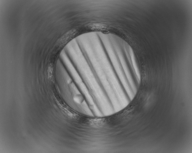 X0000076320281200610201647