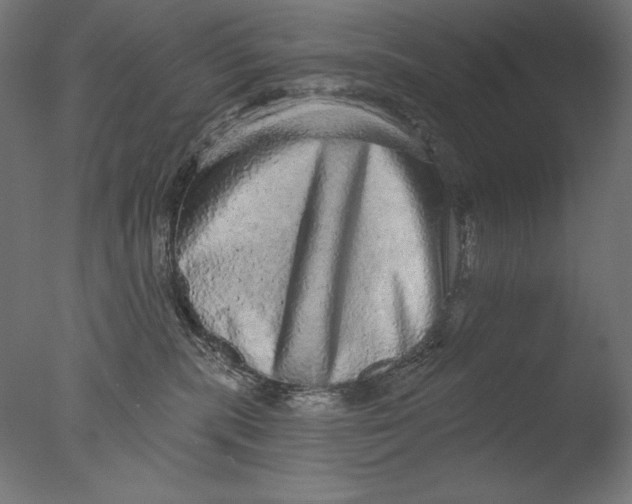 X0000076320283200610201647