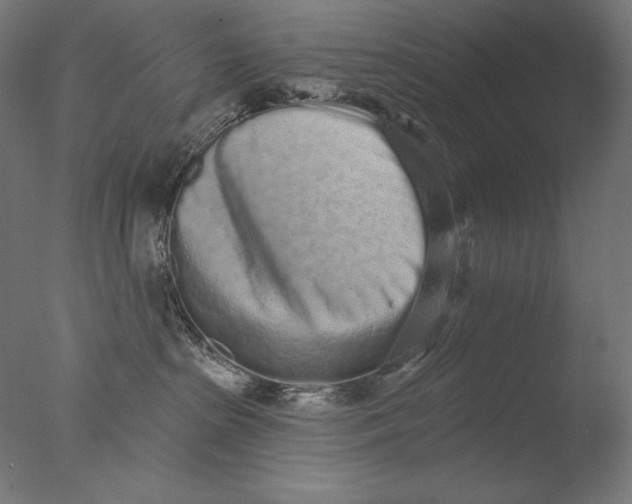 X0000076320285200610201647