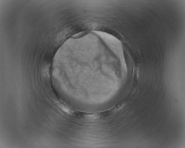 X0000076320286200610201647