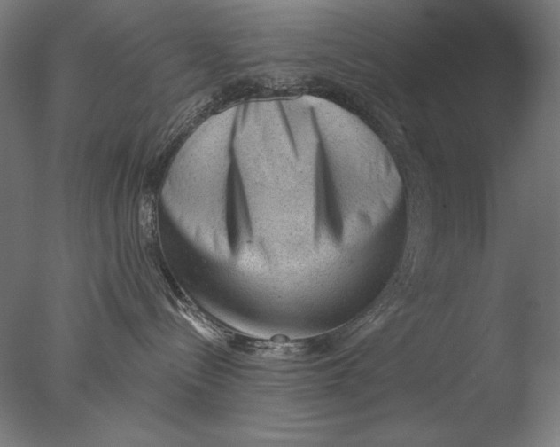 X0000076320288200610201647