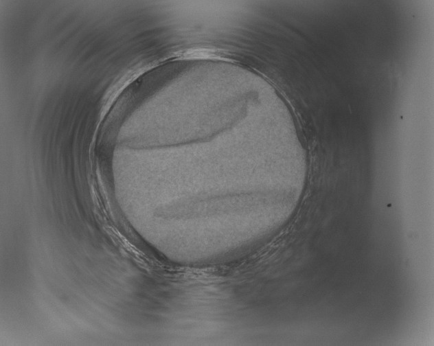 X0000076320289200610201646