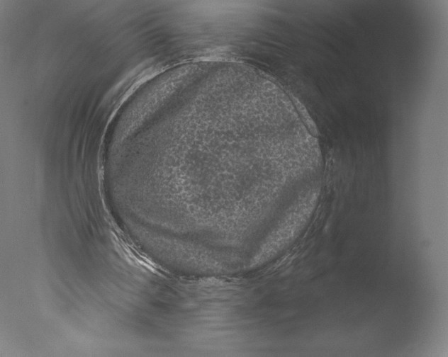 X0000076320290200610201646