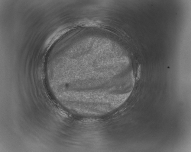 X0000076320291200610201646