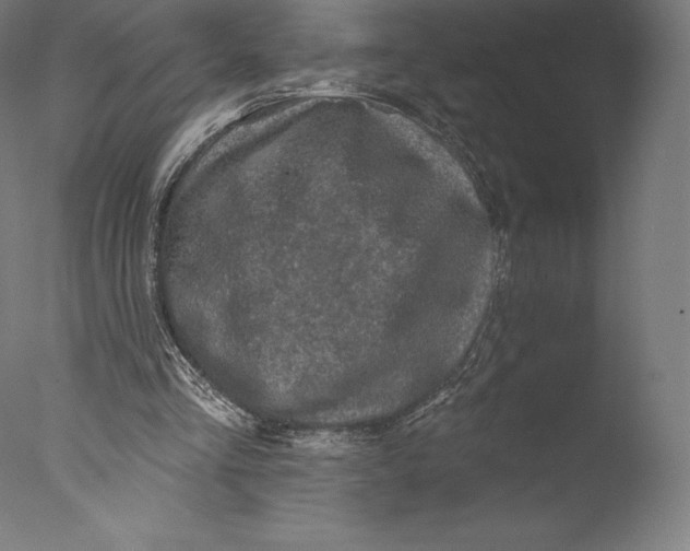 X0000076320293200610201646