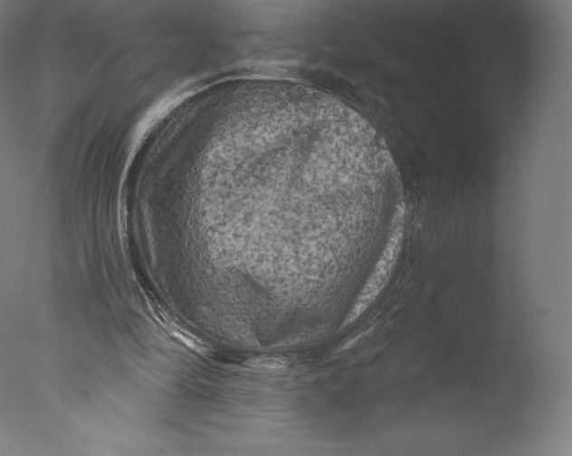 X0000076320294200610201646