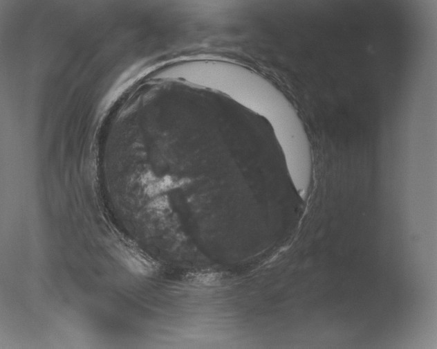 X0000076320295200610201646