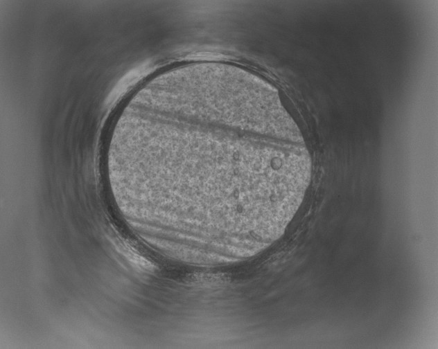 X0000076320296200610201646