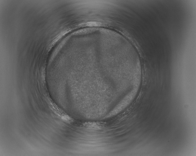 X0000076320297200610201646