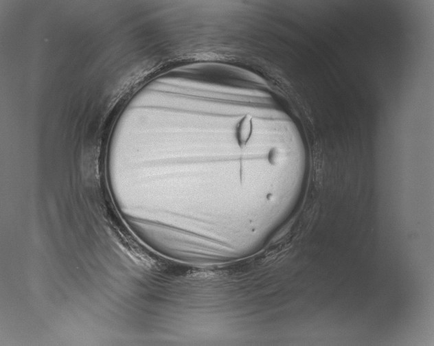 X0000076320299200610201646