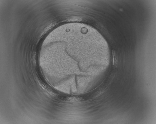 X0000076320300200610201646