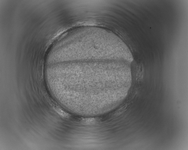 X0000076320301200610201646