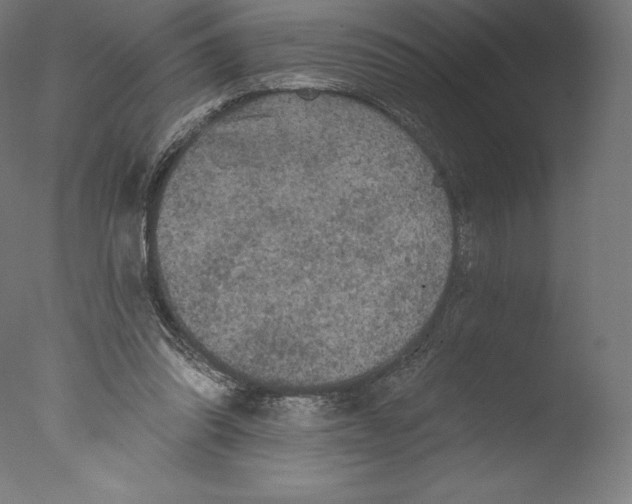 X0000076320302200610201646