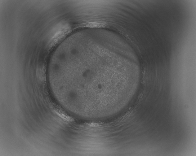 X0000076320303200610201646