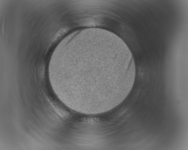 X0000076320304200610201646