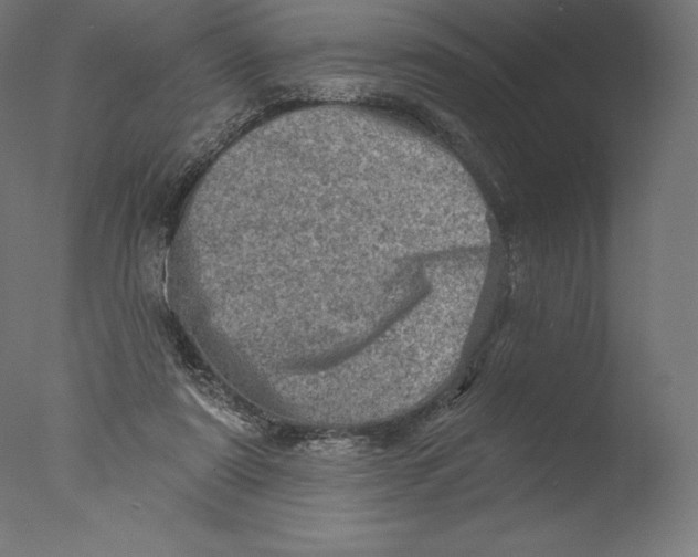 X0000076320307200610201646