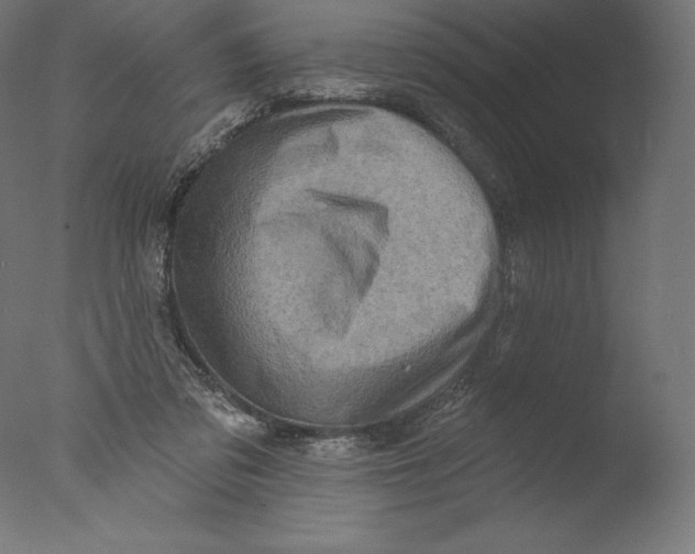 X0000076320309200610201645