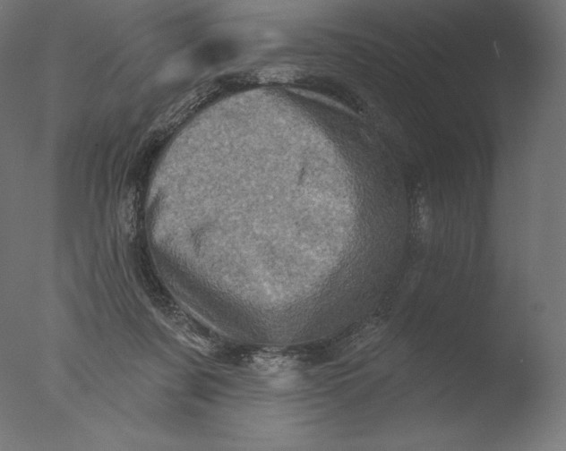 X0000076320311200610201645