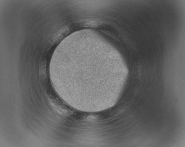 X0000076320312200610201645