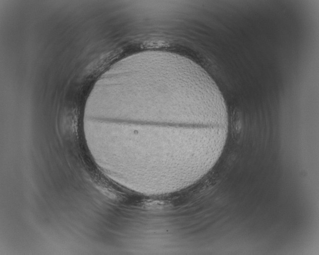 X0000076320315200610201645