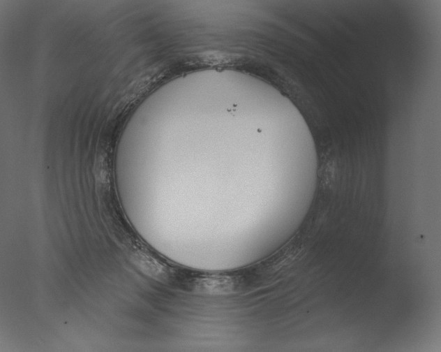 X0000076320317200610201645