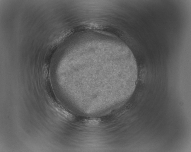 X0000076320318200610201645