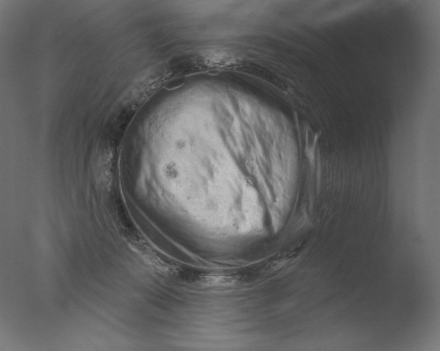 X0000076320319200610201645