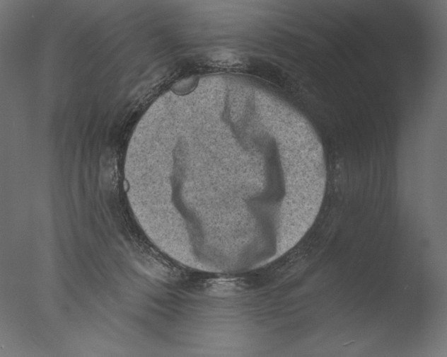 X0000076320320200610201645