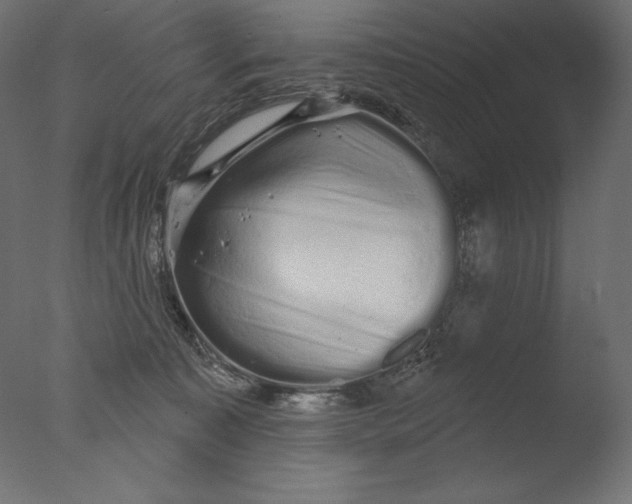 X0000076320323200610201645