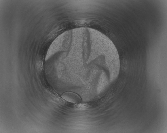 X0000076320324200610201645