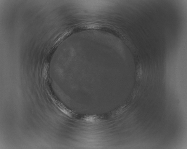 X0000076320325200610201645