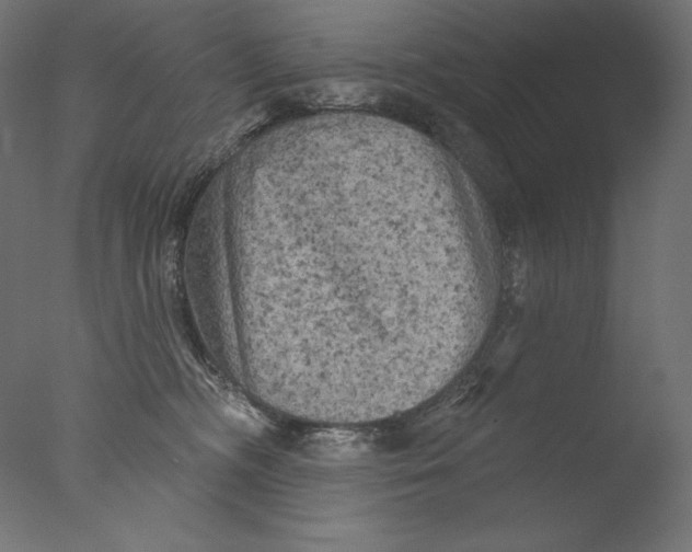 X0000076320326200610201645